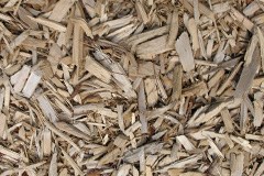 biomass boilers Seagoe