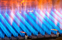 Seagoe gas fired boilers